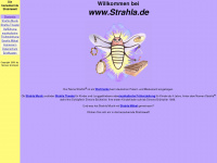 strahla.de Webseite Vorschau