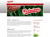 redwings-baseball.com Webseite Vorschau