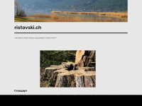 ristovski.ch Webseite Vorschau
