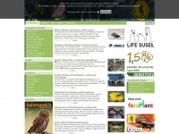 salamandra.org.pl Webseite Vorschau