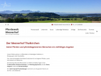 pferdewelt-mesnerhof.de Webseite Vorschau