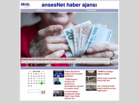 ansesnet.com Webseite Vorschau