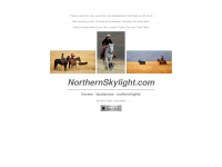 northernskylight.com Webseite Vorschau