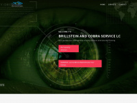 cobra-systems.com Thumbnail