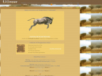 lionzer.de Webseite Vorschau