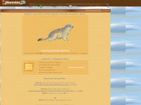 hamsterstory.de Webseite Vorschau