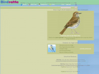 birdrama.de Webseite Vorschau