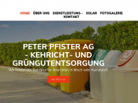 ppfister.ch Webseite Vorschau