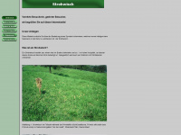 strohwisch.de Webseite Vorschau