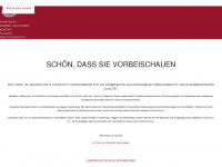 steinhoff-fleischwaren.de Webseite Vorschau
