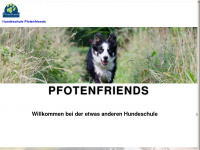 pfotenfriends.de Webseite Vorschau