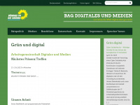 bag-gruene-medienundnetz.de Webseite Vorschau