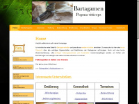info-bartagamen.de Webseite Vorschau