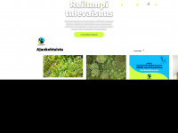 reilukauppa.fi Webseite Vorschau