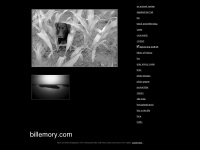 billemory.com Webseite Vorschau