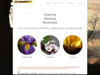 coaching-lae.de Webseite Vorschau