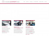 hagelexpert.ag Webseite Vorschau
