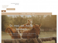 tierarzt-strobach.com Webseite Vorschau