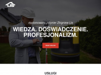 lis.info.pl Webseite Vorschau