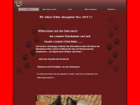 oekoranch-siamcats.de Webseite Vorschau