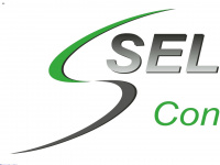 selzer-consulting.de Webseite Vorschau