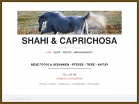 shahi-capri.de Webseite Vorschau