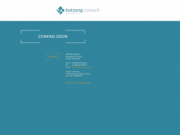 botzong-consult.de Webseite Vorschau
