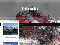 brainoverflow.de Webseite Vorschau