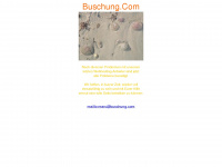 buschung.de Webseite Vorschau