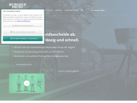 bussgeldprofi.de Webseite Vorschau