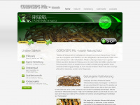 cordyceps-pilz.de Webseite Vorschau