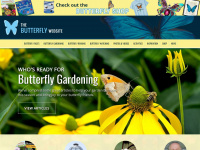 butterflywebsite.com Webseite Vorschau