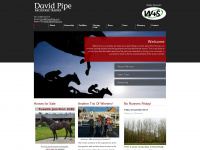 davidpipe.com Webseite Vorschau