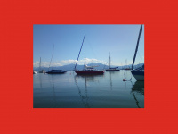 cubalibre-sailing.de Webseite Vorschau