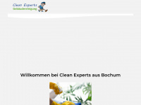 clean-experts.de Webseite Vorschau