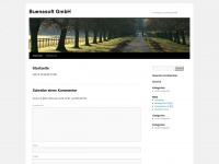 buenasoft.de Webseite Vorschau