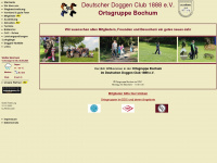 ddc-ogbochum.de Webseite Vorschau