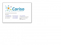 cariso.de Webseite Vorschau