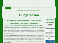 buergerstrom.org