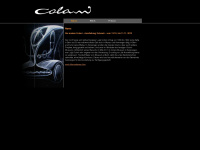 colani.de Webseite Vorschau