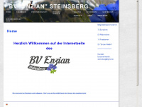 bv-enzian.de Webseite Vorschau