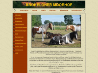 brokelohermoorhof.de Webseite Vorschau