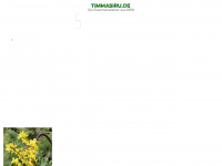 timmasiru.de Webseite Vorschau