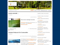 cosmosconsulting.wordpress.com Webseite Vorschau