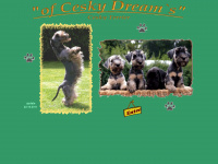 cesky-terrier-freunde.de Webseite Vorschau