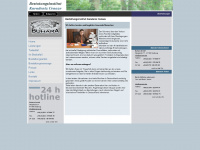 buhara.de Webseite Vorschau