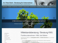 buhlberatung.com Webseite Vorschau