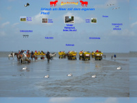 cuxhaven-reiterhof.de Webseite Vorschau
