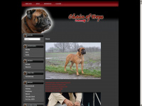 bull-mastiff-deutschland.de Webseite Vorschau