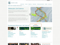 mls.uni-luebeck.de Webseite Vorschau
